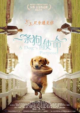 国产精品久久久精品三级